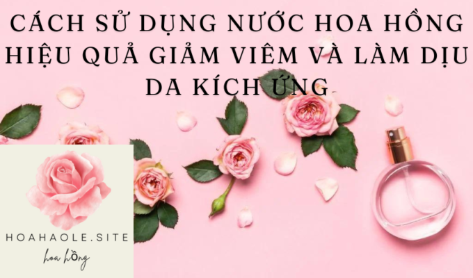 Cách sử dụng nước hoa hồng hiệu quả giảm viêm và làm dịu da kích ứng