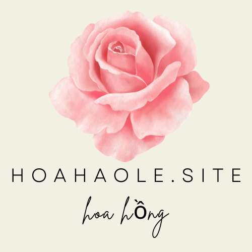 hoahaole.site