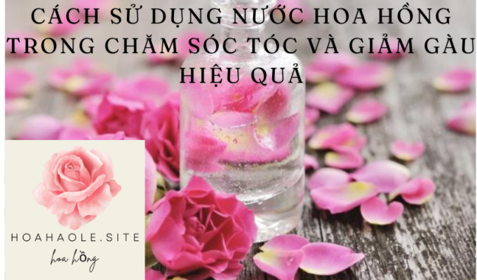 Cách sử dụng nước hoa hồng trong chăm sóc tóc và giảm gàu hiệu quả