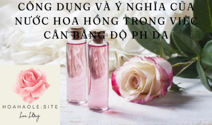 Công dụng và ý nghĩa của nước hoa hồng trong việc cân bằng độ pH da